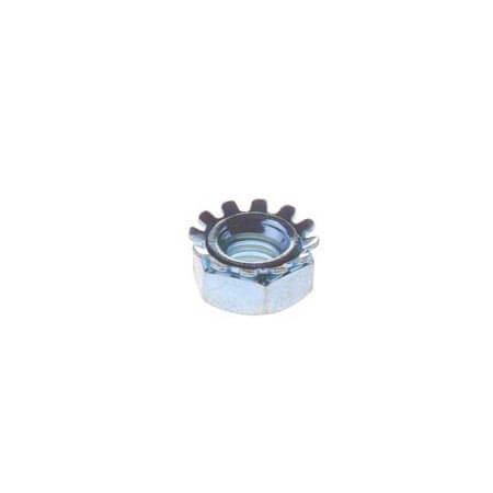 GWLM00011 Hex Head Toothed Kep Lock Nut