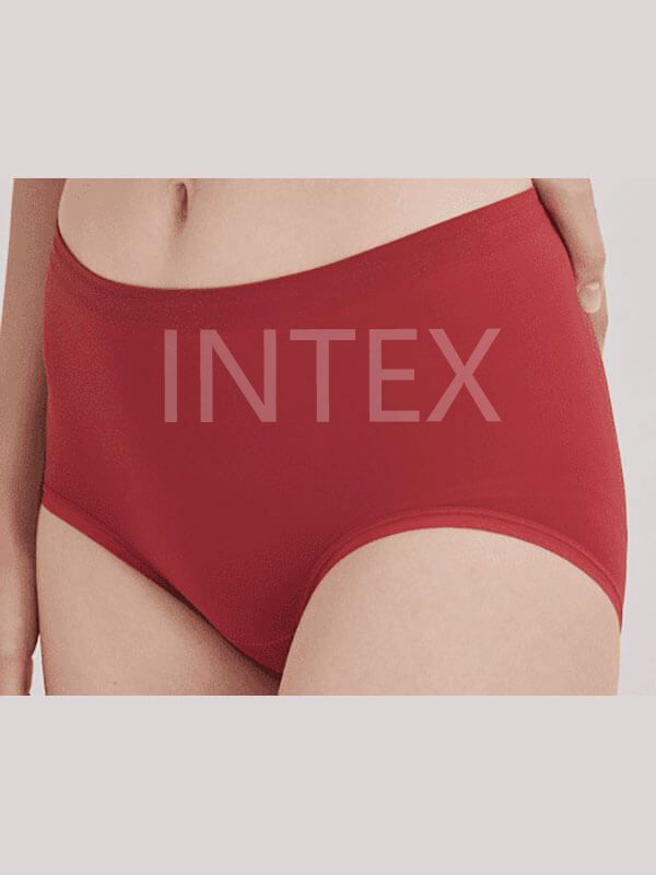 Ladies Panties Seamless Brief  008
