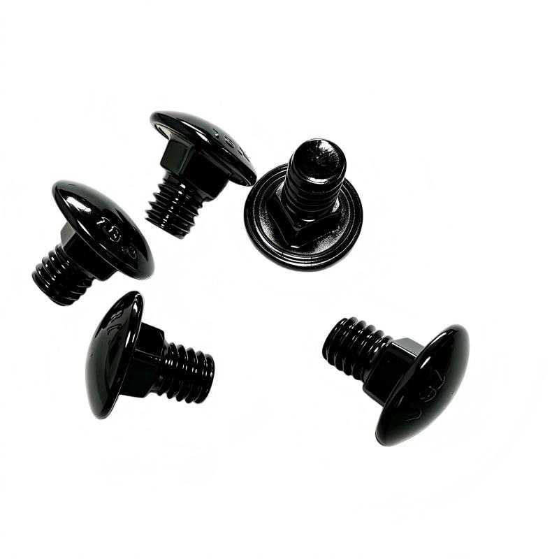 Black Oxide Stainless Steel 18-8 SS304 DIN603 Carriage Bolt